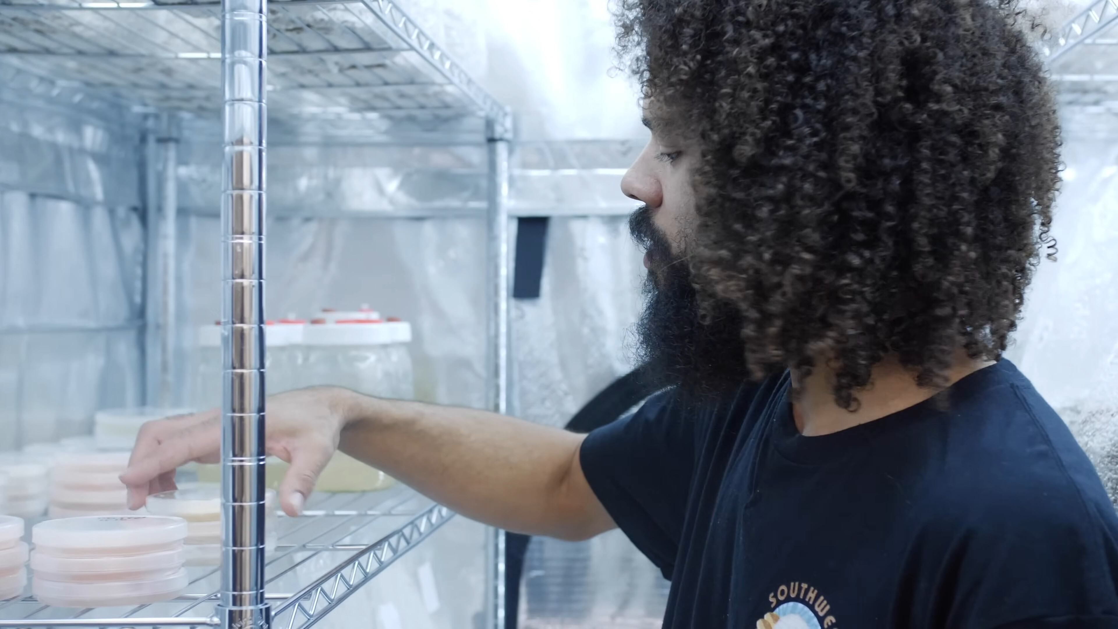 Michael Crowe, in a black T-shirt, reaches into a wire rack of Petri dishes in a culture room.